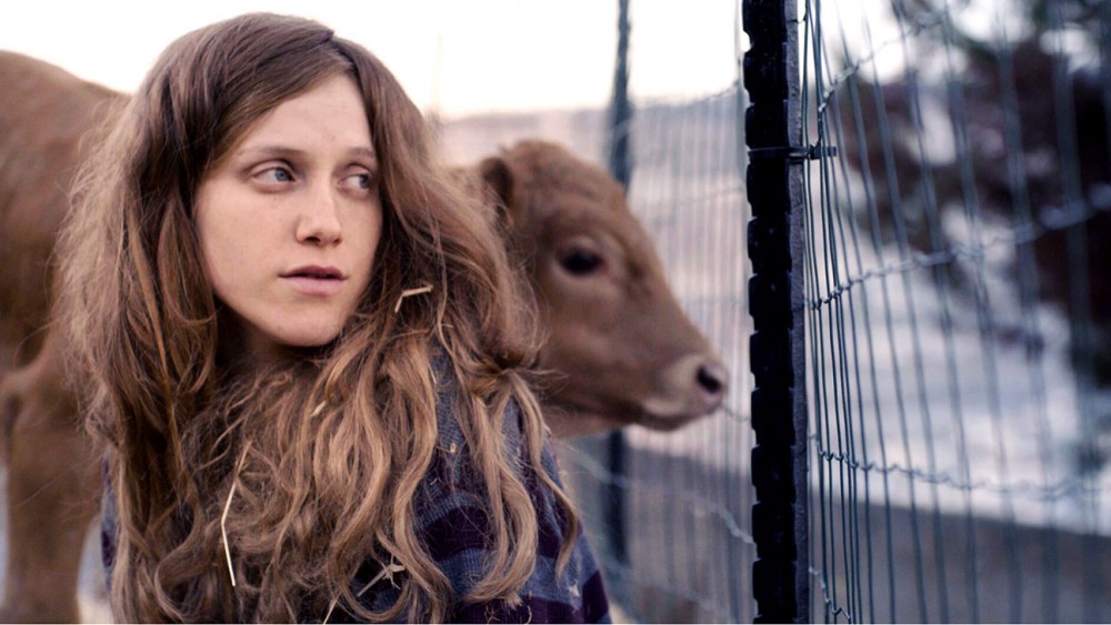 Luststreifen Screens