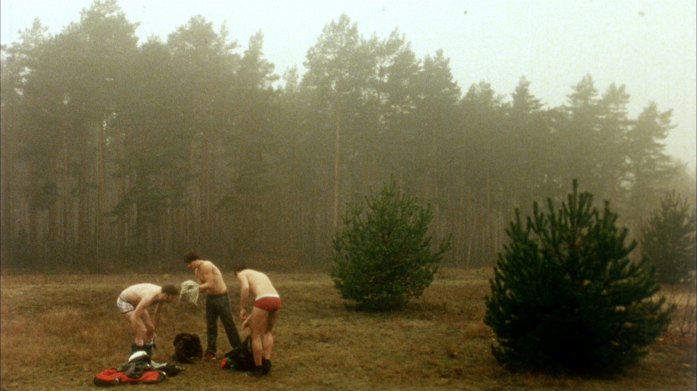 Luststreifen Screens